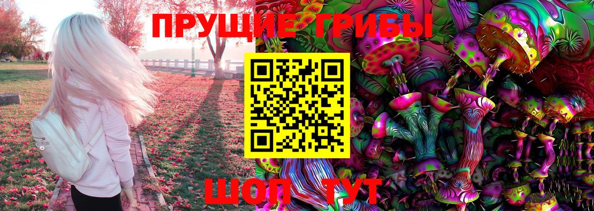 Псилоцибиновые грибы GOLDEN TEACHER  Вход с VPN  Богданович 