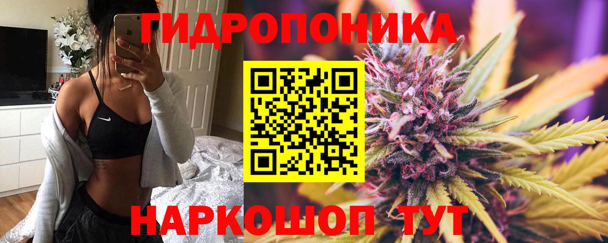 МАРИХУАНА индика Богданович